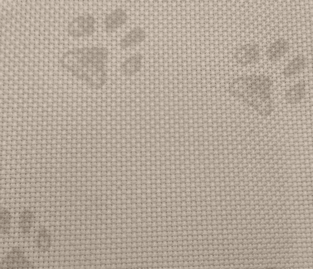 16ct Aida Pawprint Design